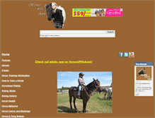Tablet Screenshot of horseswithamie.com